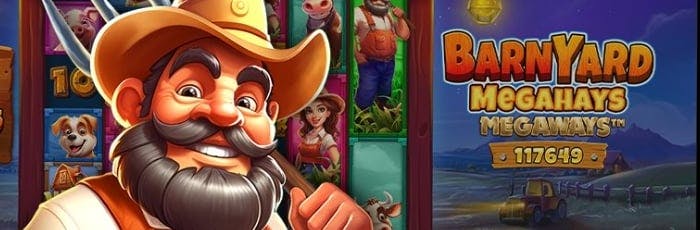 como funciona o brasileirao